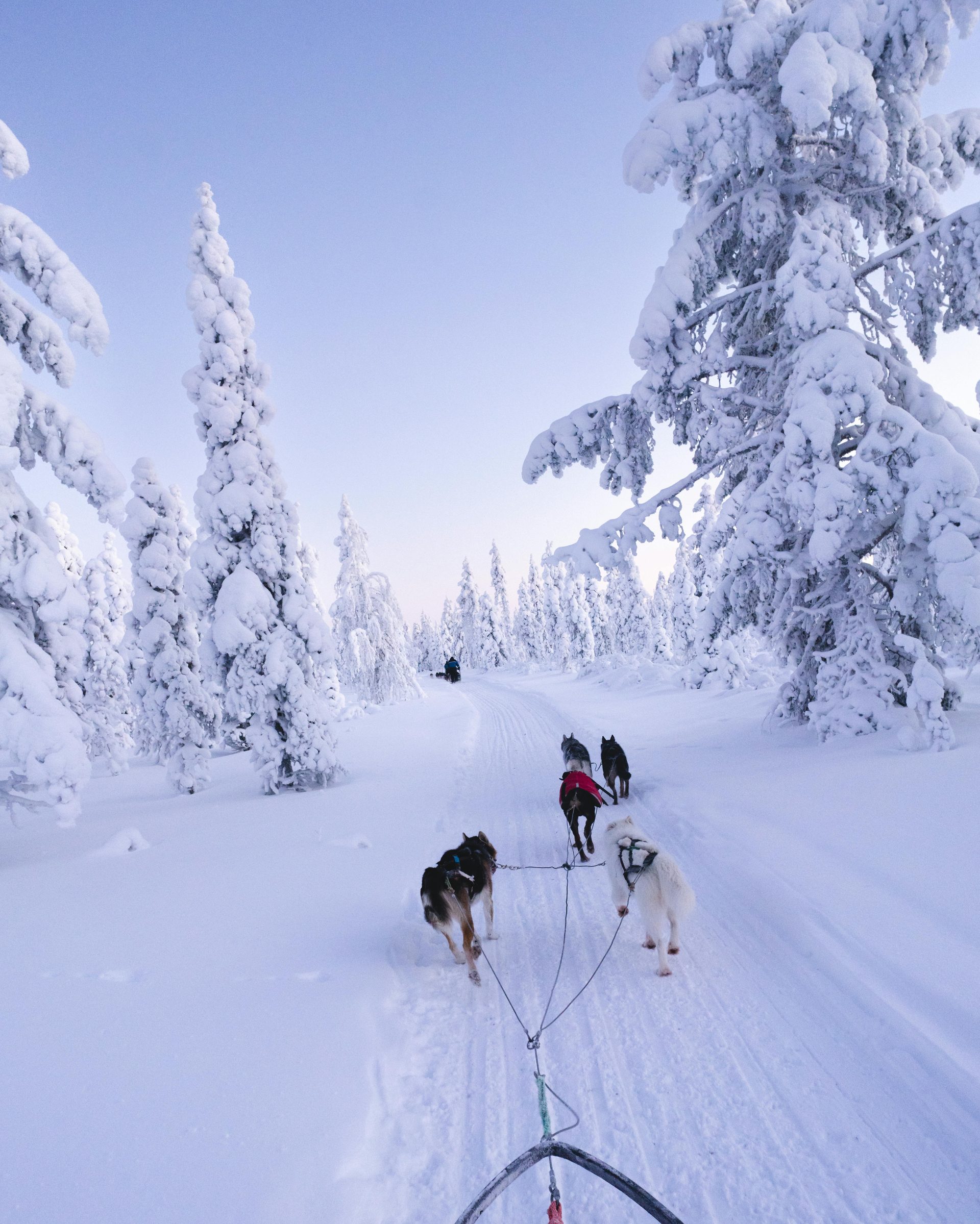 Attivit&agrave; Auron sci cani slitta trekking spa tempo libero montagna